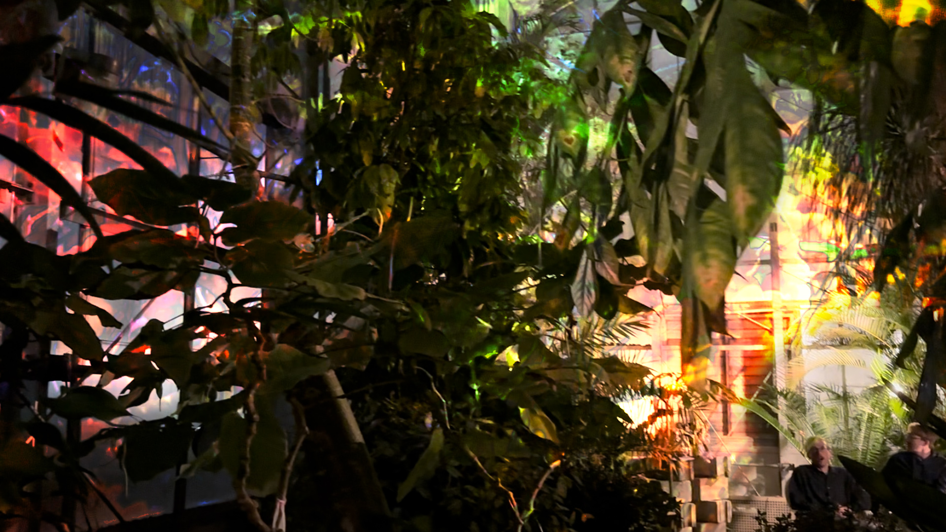 Lichen-OSU_MuralReMix_Inside-people_CG-RYAN