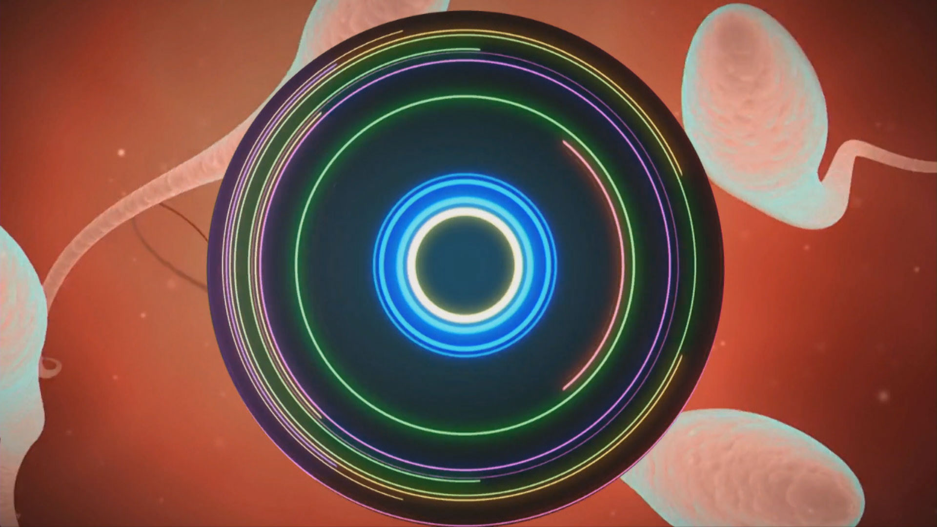 Octet-Miller_Sperm-Circle-Warm_CG-RYAN